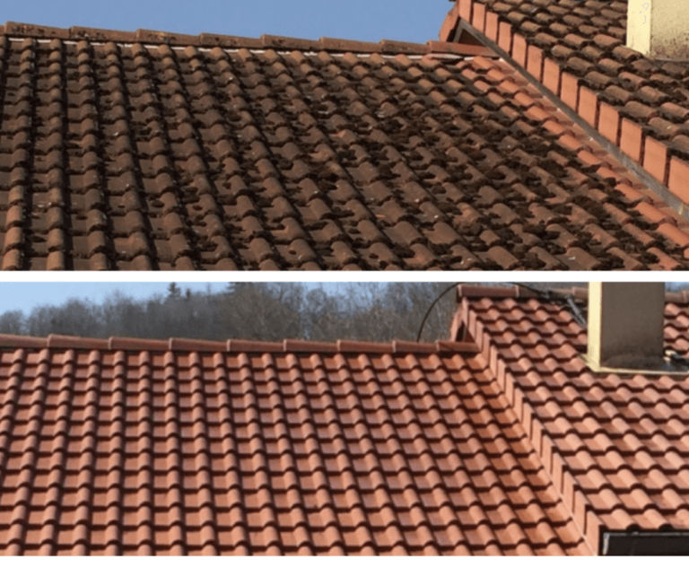 Nettoyage Toiture - Annecy haute-savoie 74