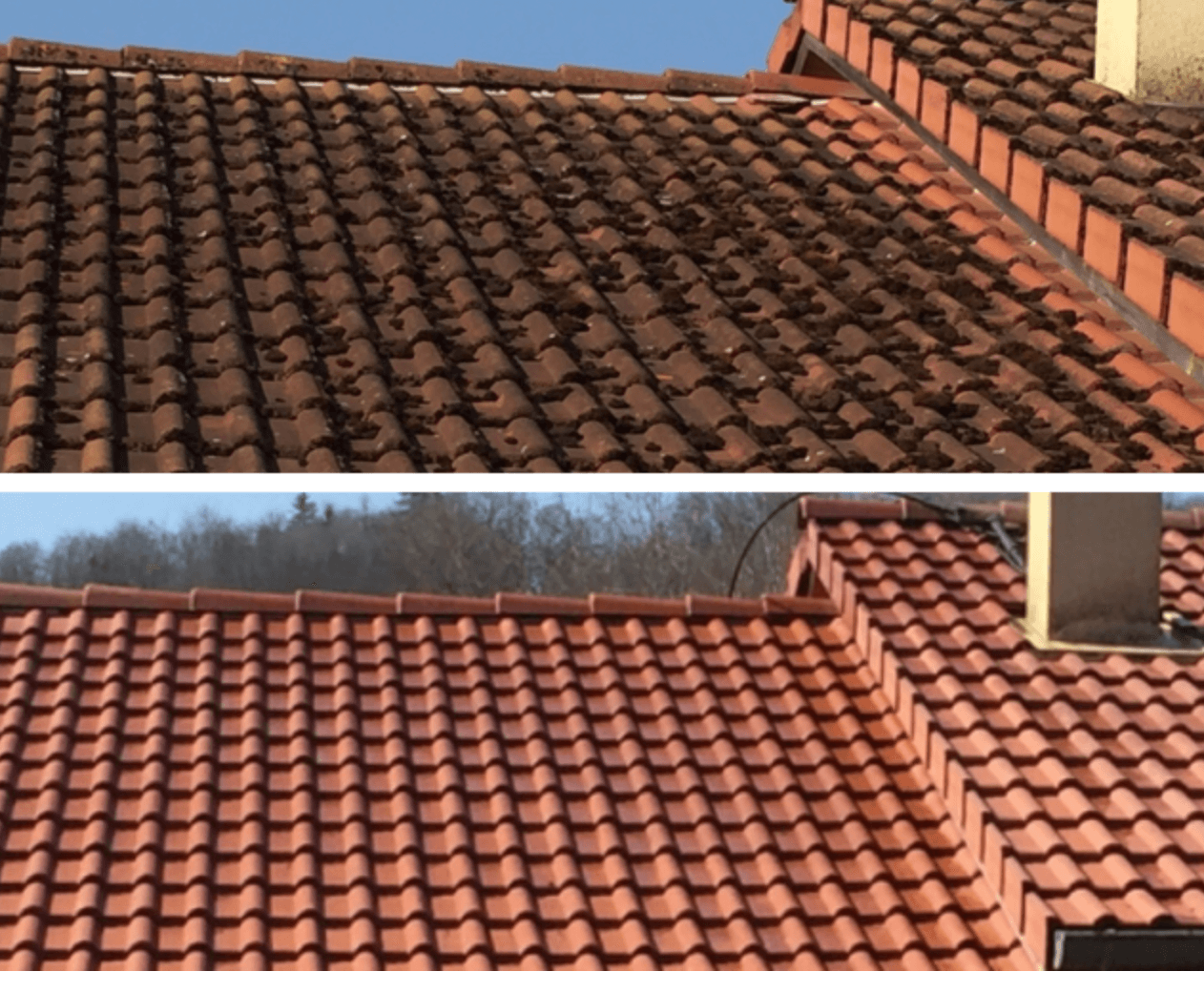 Nettoyage Toiture - haute-savoie 74